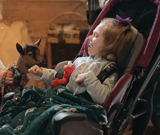 child in a wheelchair petting a goat