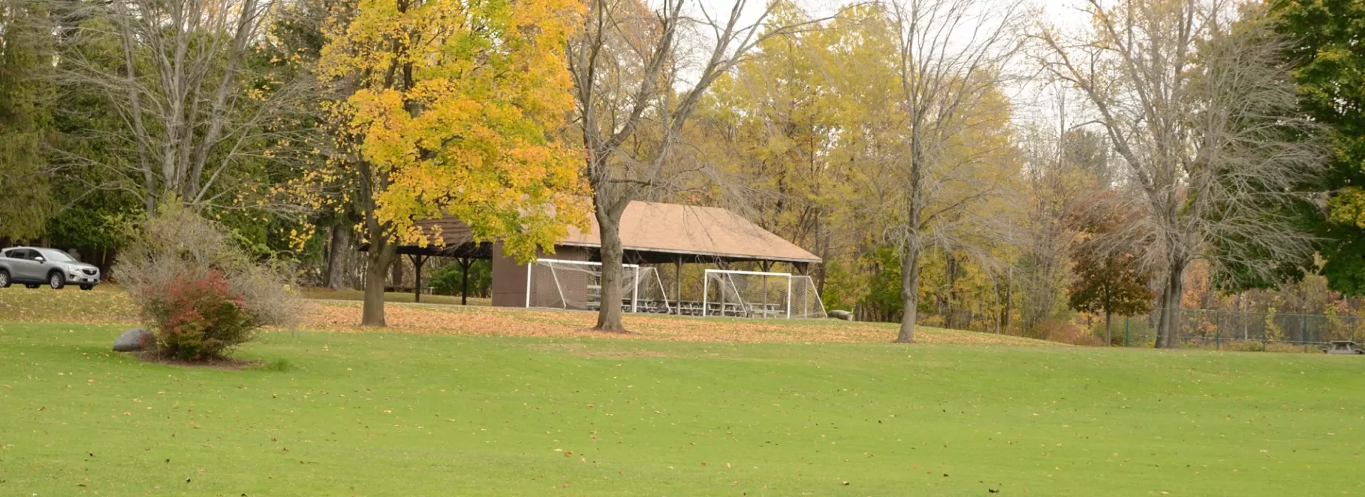 Outside trees and buildling